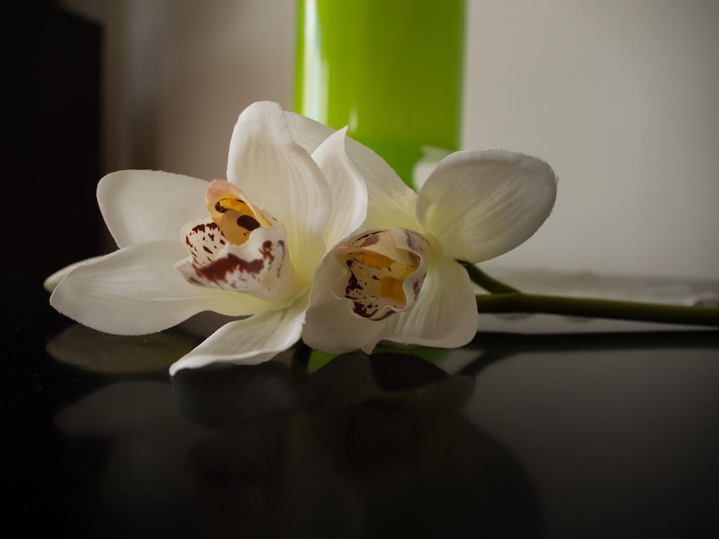 Green Park Apartments Swinoujscie Ngoại thất bức ảnh